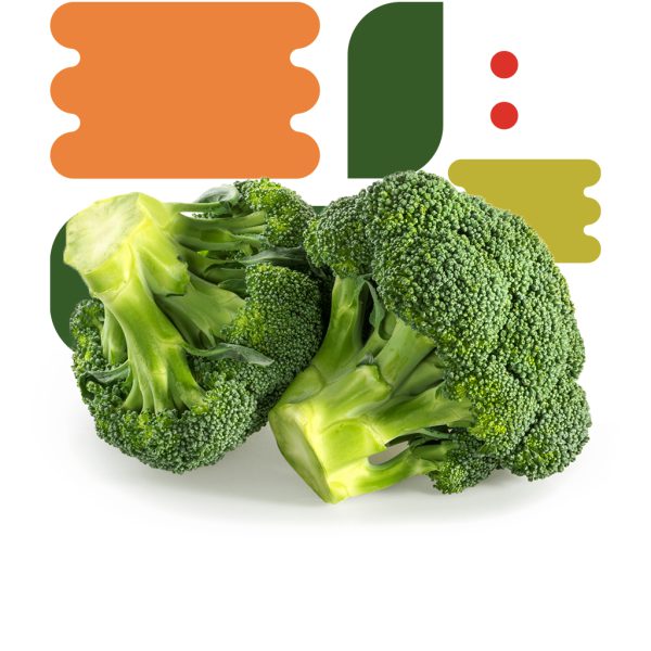 Broccoli - immagine 2