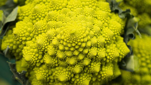 Cavolo Romanesco - immagine 3