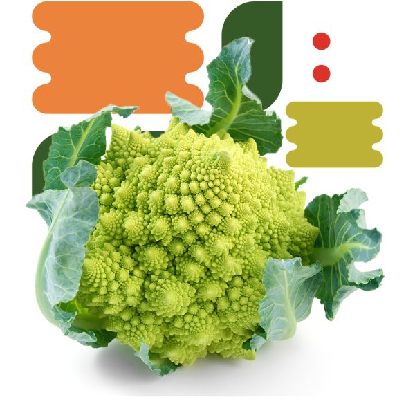 Cavolo Romanesco - immagine 2