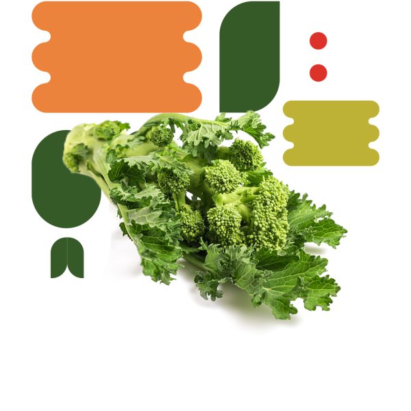 Cime di rapa - immagine 2
