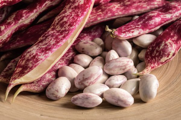 Fagioli borlotti - immagine 3