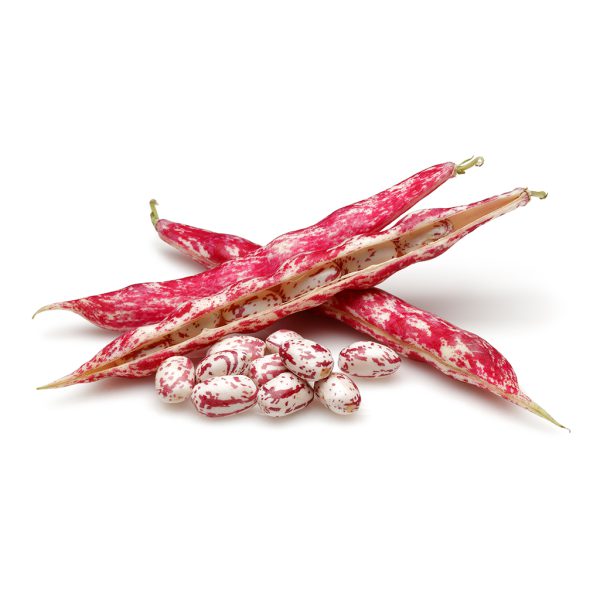Fagioli borlotti