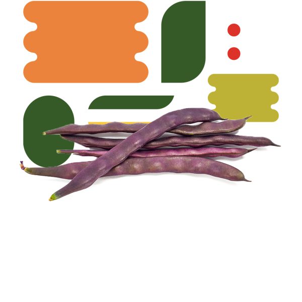 Fagiolini viola - immagine 2