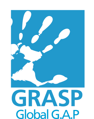 Logo-GRASP-4