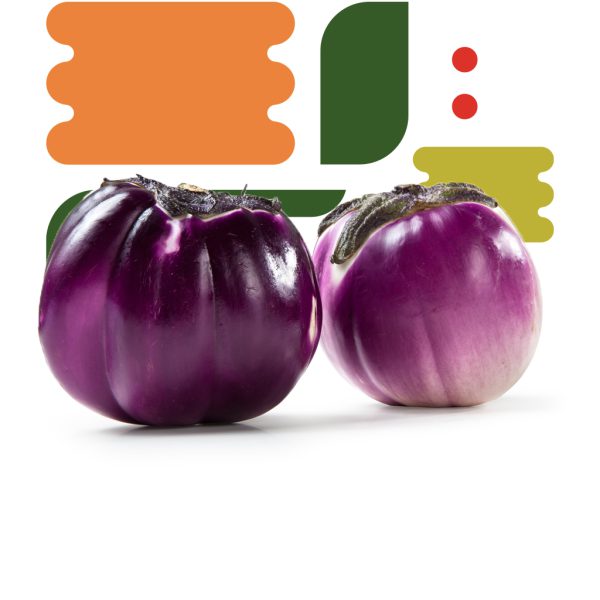 Melanzana tonda viola - immagine 2