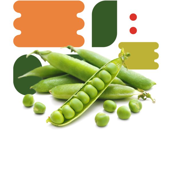 Piselli - immagine 2