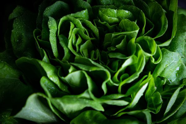 Insalata Trocadero - immagine 3