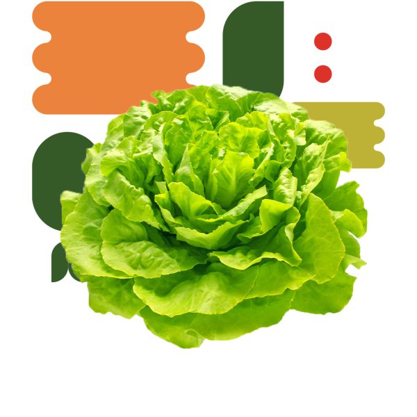 Insalata Trocadero - immagine 2