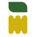 maturazione maturazione