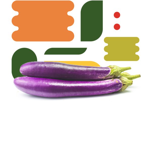 Melanzana lunga viola - immagine 2