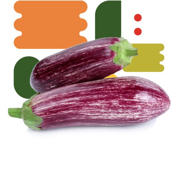 Melanzana tonda striata - immagine 2