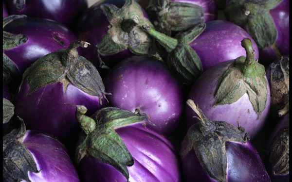 Melanzana tonda viola - immagine 3