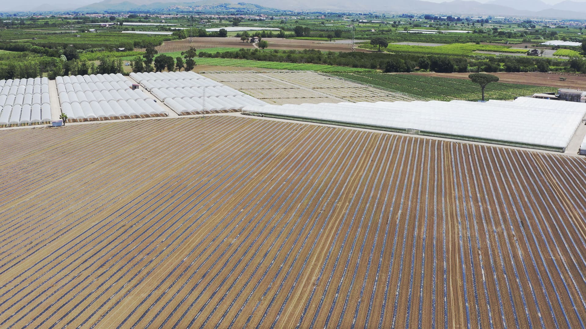 vista-drone-ortoprimizie-compressed